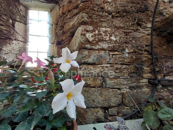 Propriété du XV siècle - Sur les hauteurs du Lot - Chambres d'hôtes