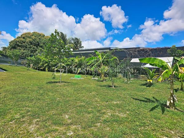 Delphine MIRANDA pour BSK Immobilier 
Saint François , secteur Bois de Vipart, au sein du triangle d'or des axes Sainte Anne / Saint François / Le Moule, je vous propose cette jolie villa rénovée de 136 m2 (surface utile 186,60 avec garage et  atelier) édifiée sur deux niveaux sur une parcelle de 1090 m2, dans un environnement résidentiel au calme.
Entrée par portail motorisé, un garage fermé de 17,50 m2 est à votre disposition pour abriter votre véhicule .
A l'avant de la maison une grande terrasse abritée dotée de stores  propose un coin salon extérieur exposé côté piscine ( de dimension 3,5 x 8,5, filtration au chlore).
Un grand salon séjour climatisé de 52 m2 offre une belle pièce de vie , attenant vous trouverez une cuisine aménagée et équipée avec un grand cellier buanderie et un accès terrasse abritant une pergola bioclimatique pour profiter d'un coin repas avec vue dégagée sur le jardin arrière.
Pour la partie nuit, un dégagement dessert une salle d'eau toilettes, une chambre climatisée avec rangement , une première suite parentale climatisée avec placards  et sa salle de bains / toilettes, et une deuxième grande suite parentale climatisée de 31 m2 avec double dressing et un accès direct sur la galerie arrière de la maison et son jardin. Vous l'avez compris 3 chambres pour 3 salles de bains vous sont proposés.
Une galerie abritée dessert l'arrière de la maison et plusieurs accès au jardin. Ce dernier est entièrement clôturé, entretenu avec soin et paysagé avec de nombreux fruitiers et plantations.
En souplex sous la terrasse un espace de 30 m2 a été aménagé en atelier , eau et électricité sont raccordées, libre à vous d'en changer la destination avec l'aménagement d'un studio ou d'un local / bureau pour une activité libérale .
Ce bien bénéficie également d'un accès indépendant, offrant la possibilité d'exercer l'une de ces activités tout en préservant la tranquillité de sa vie privée.

Forte de ses volumes et de son aménagement , cette maison a encore de nombreux atouts à offrir à savoir : 
- l'installation de panneaux photovoltaïques offrant une autonomie électrique
- une citerne tampon de 3300 litres 
- une citerne enterrée de récupération d'eaux pluviales 10000 litres alimentant  toilettes, lave-linge et jardin.
- une toiture refaite à neuf 
- un assainissement neuf avec conformité (microstation)
- vendue meublée clé en main 

Pour de plus amples informations, échanger sur votre projet , accéder à la vidéo du bien, positionner une visite n'hésitez pas à me contacter , merci de privilégier l'appel ou message par whatSapp.