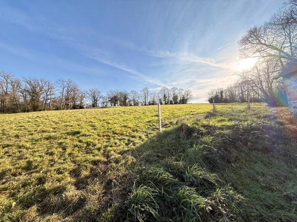 EN EXCLUSIVITE Maison en pierre de 113m² avec grange sur 2,4ha de terrain 128 000 €