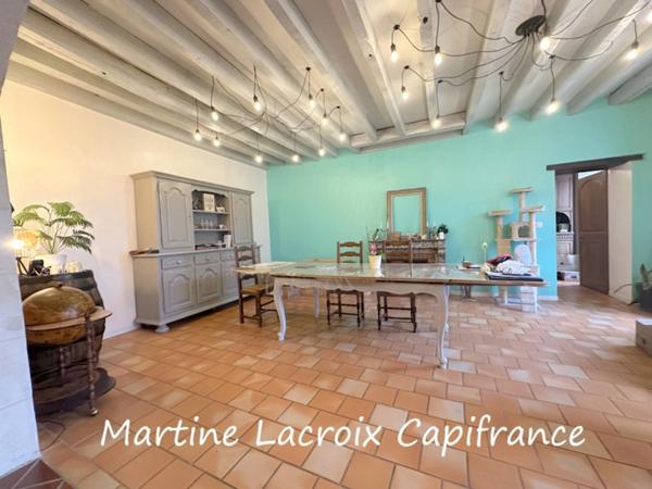 Dpt SARTHE (72), à vendre SCEAUX SUR HUISNE (72) - MAISON BOURGEOISE P8 de 220 m² - Terrain de 1000 M²