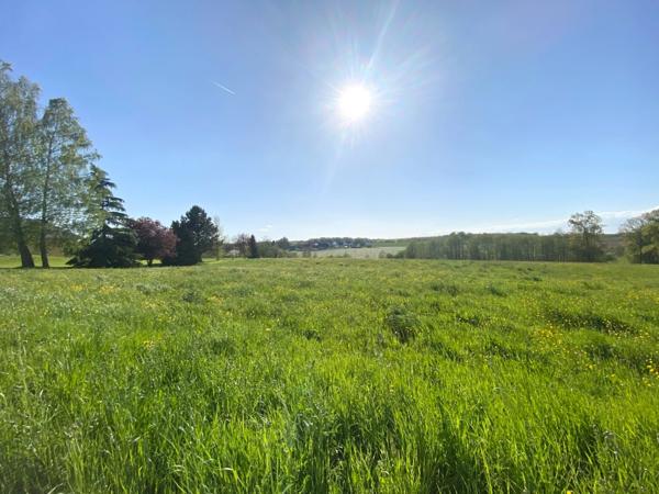 Terrain à vendre secteur JONCHERY-BORON (90)