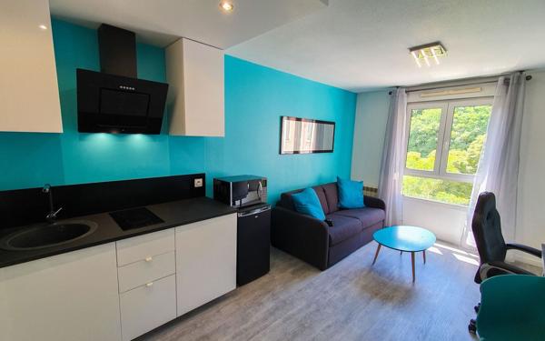 Appartement à louer    1 pièce • 20,58 m2 Lyon 4