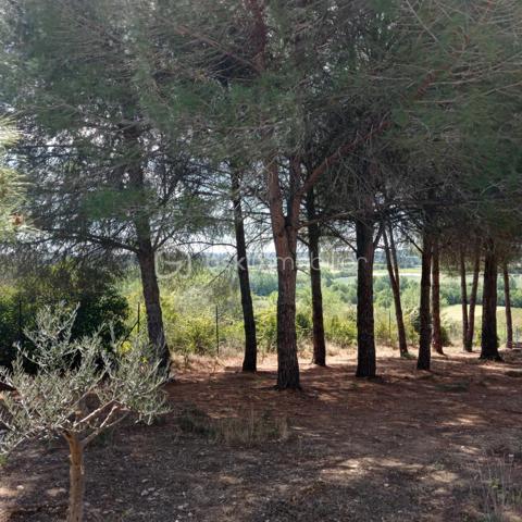 REMISE AGRICOLE SUR 6000 M2 DE TERRAIN CLÔTURÉ.

A USAGE AGRICOLE UNIQUEMENT( éleveurs caprins, bovins, ovins, équins)

La demande de changement de destination pour en faire une habitation principale devra être demandée en Mairie, avec CERFA. 
Pour cela, se référer au PLU DE LA COMMUNE DE MARAUSSAN, ZONE A

ENTIÈREMENT EQUIPEE

FIBRE, VIABILISÉE

PROPRIÉTÉ ENTIÈREMENT CLOTUREE.

ACCÈS PAR PORTAIL AUTOMATIQUE DE 5 MÈTRES