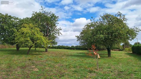 Achat - Maison | Maison rurale Saint-Pierre-des-Landes 53500 6 pièces 157 m 2 5086 m 2