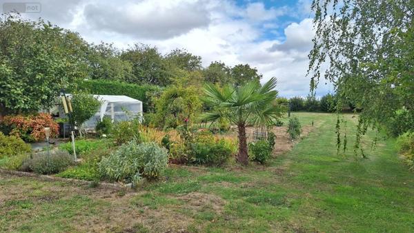 Achat - Maison | Maison rurale Saint-Pierre-des-Landes 53500 6 pièces 157 m 2 5086 m 2