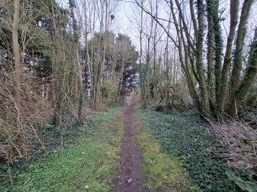 Terrain de loisirs - Bois - Etang à vendre à Ames dans le Pas-de-Calais (62190), ref : 62050-1772