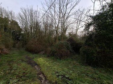 Terrain de loisirs - Bois - Etang à vendre à Ames dans le Pas-de-Calais (62190), ref : 62050-1772