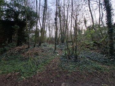 Terrain de loisirs - Bois - Etang à vendre à Ames dans le Pas-de-Calais (62190), ref : 62050-1772