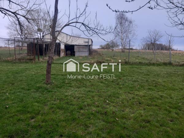 Opportunité rare ! Découvrez cette maison de 137 m², nichée au cœur d’un magnifique jardin de 14 500 m², offrant calme et espace.