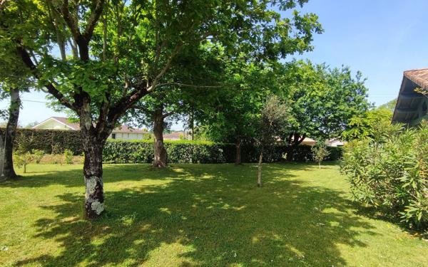 Maison à vendre    4 pièces •  Peyrehorade
