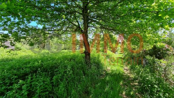 Vente / Terrain constructible