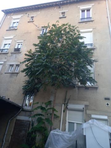 Biens pour investisseur