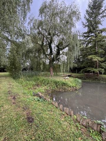 Terrain de loisirs - Bois - Etang à vendre à Le Grand-Lucé dans la Sarthe (72150), ref : 72085-2238