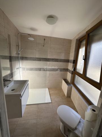 Vente Immeuble à Boulay- Moselle 57220