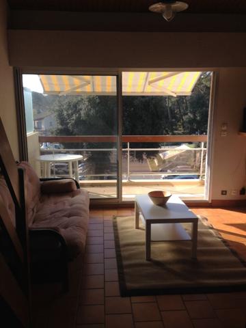 17570 LA PALMYRE APPARTEMENT DUPLEX