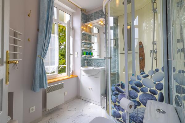 Maison de maître Chabris 11 pièce(s) 202.9 m2