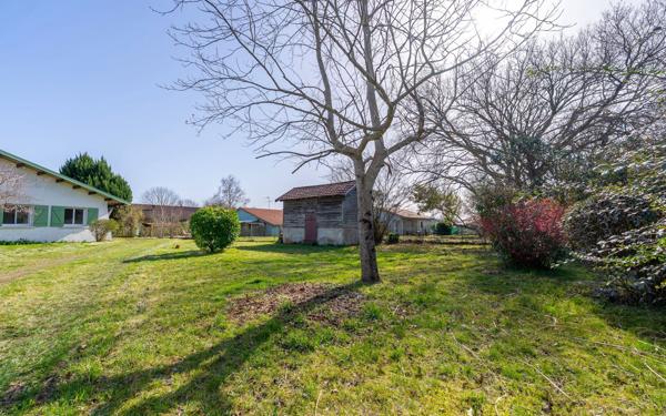 Maison à vendre    5 pièces •  Sainte-Eulalie-en-Born