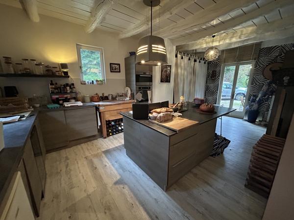 Maison Familiale avec gîte et piscine