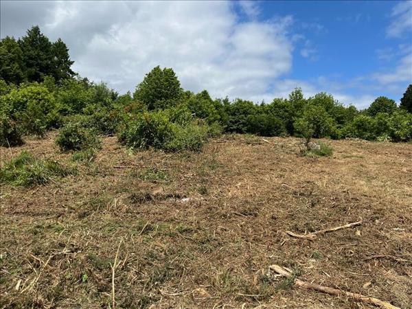 Terrain à vendre |  Le Vigan-en-Quercy |  8680 m²