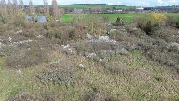 Terrain de loisirs 2 hectares