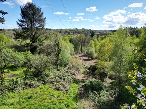 Grange dans village à rénover avec plus de 10 000 m² de terrain