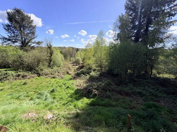 Grange dans village à rénover avec plus de 10 000 m² de terrain