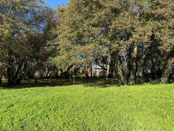 Proche du port terrain à bâtir