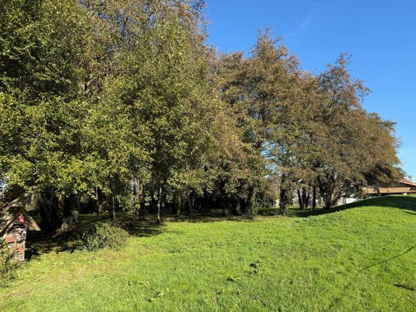 Proche du port terrain à bâtir