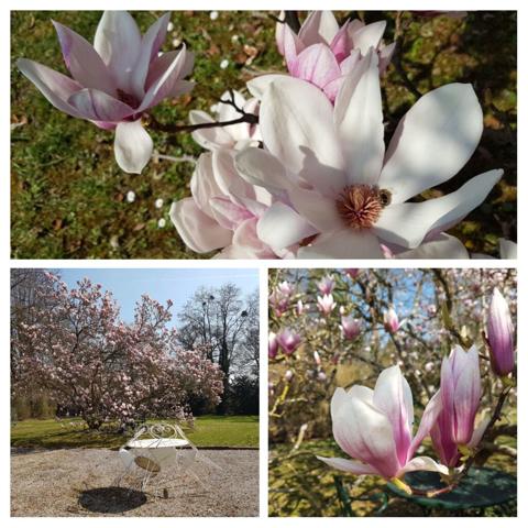 F3 dans immeuble fin Second Empire entièrement rénové à DOURDAN (91410)