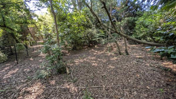 Terrain
        
        - 1057 m² 97 000 € *
