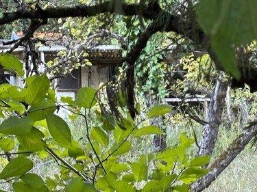 Terrain de loisirs à vendre à Saint-Amand-Montrond dans le Cher (18200), ref : 18022/824