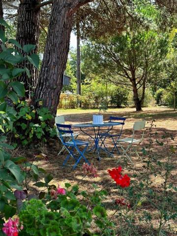 Maison à vendre à Seignosse dans les Landes (40510), ref : 1205905/578