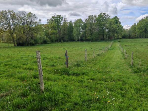 Maison ancienne - La coquille Corps de ferme avec 8 hectares et dépendances – Parc Périgord Limousin