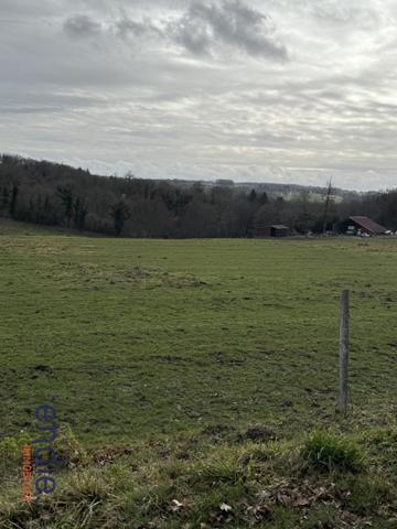 TERRAIN AGRICOLE AVEC BATIMENTS