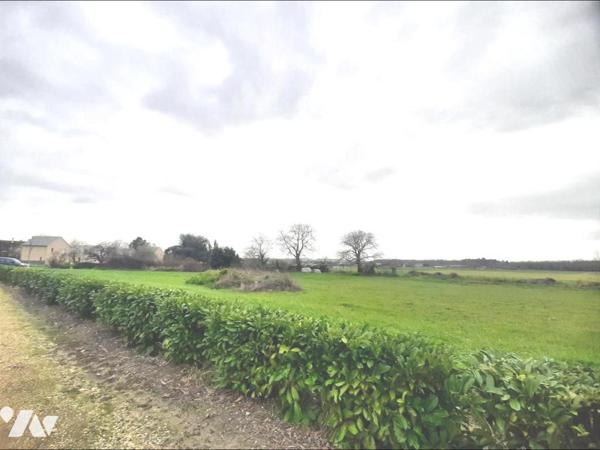 Terrain de 7800m² libre de constructeur