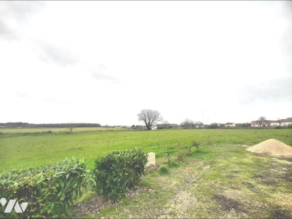 Terrain de 7800m² libre de constructeur