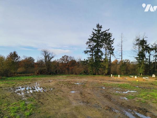 Co-EXCLUSIVITE - GEVEZE,  Rue de Rennes, en lotissement reste 6 terrains à bâtir de 311m² à 447 m²