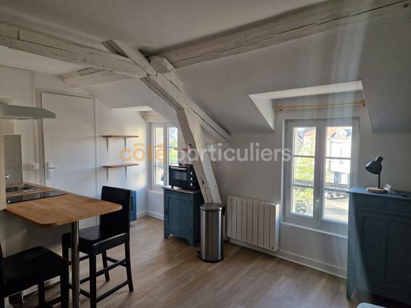 Location
                Appartement17,7 m² - 1 Pièce -
                    MONTARGIS (45200)