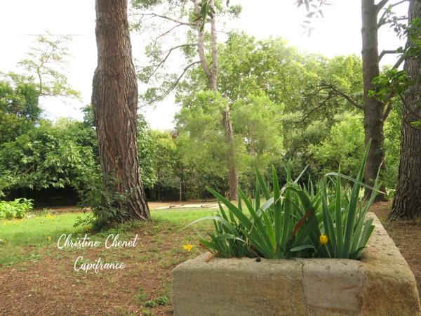 À Vendre – Maison de Charme 4 Chambres avec Jardin Arboré – Marsillargues, entre Montpellier et Nîmes