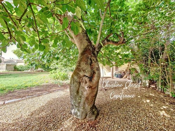 À Vendre – Maison de Charme 4 Chambres avec Jardin Arboré – Marsillargues, entre Montpellier et Nîmes