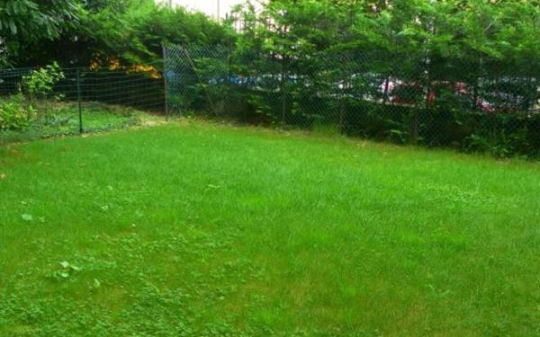 Appartement à louer    2 pièces • 55,85 m2 Le Perreux-sur-Marne