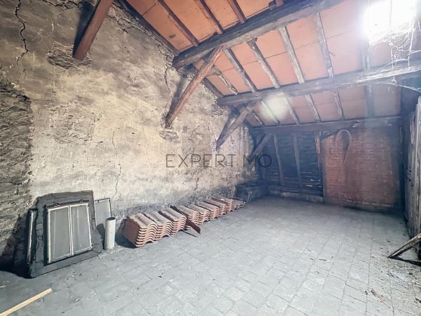 Tournus (71700) Opportunité Investisseur : Immeuble de Rapport à Rénover au Coeur de Tournus