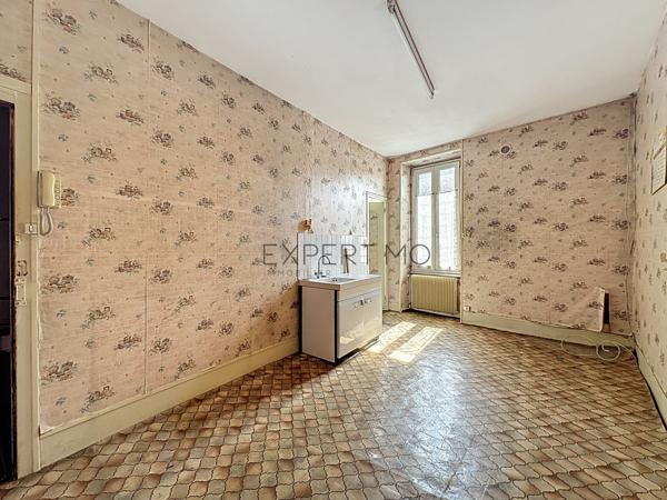 Tournus (71700) Opportunité Investisseur : Immeuble de Rapport à Rénover au Coeur de Tournus