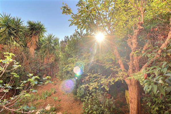 FOURRAGERE - 13012 - Appartement T5 - Balcon - Jardin - parking et cave