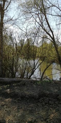 Terrain de loisirs de 12 983 m²