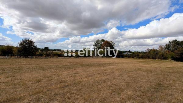 Terrain - 7742 m² Exclusivité efficity