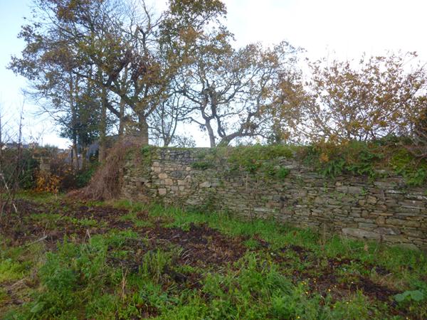 Achat terrain près de Lannion - 4158 m² - 273 000 €