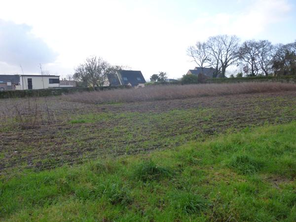 Achat terrain près de Lannion - 4158 m² - 273 000 €