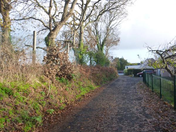 Achat terrain près de Lannion - 4158 m² - 273 000 €