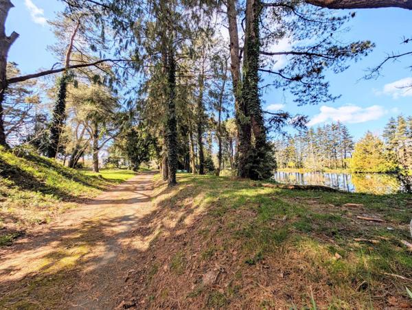 Parc Naturel de la Brière, Maison sur 2,5 hectares, forêt, étang, prairies